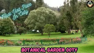 Botanical Garden Ooty - Must Visit place in Ooty | Ooty Series #destinygo #ooty