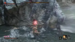 SEKIRO： SHADOWS DIE TWICE_20260111202310