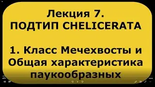 Зоология беспозвоночных. Лекция 7. Подтип  CHELICERATA. Общая характеристика паукообразных