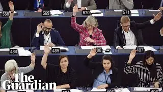 European parliament declares climate emergency: 'do we want to leave our children a world?'