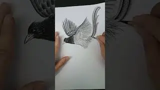 ## Bird sitting on tree branch Sketch ##