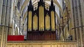 Lincoln - Anglican Cathedral: 