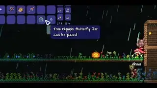 Tree Nymph Butterfly!