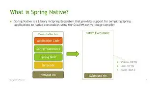 What is Spring Native?