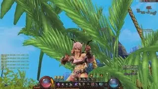 Kritika Online Cat Acrobatics Short Clips and Meow HD+