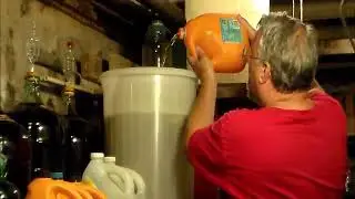 Making Rhubarb Wine
