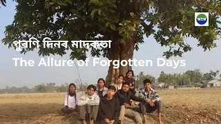 The Allure of Forgotten Days | পুৰণি দিনৰ মাদকতা | Participatory Video