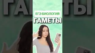 гаметы #биология #умскул #биологияегэ #жаннаказанская