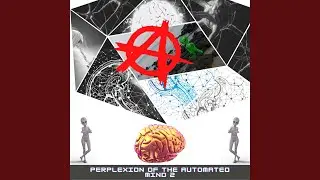 Perplexion Of The Automated Mind 2