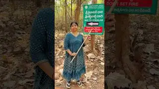 Glimpses of srisailam padayatra #ytshorts #explore #omnamahshivaya #trekking