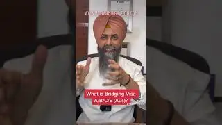 What is Bridging Visa A/B/C/E?