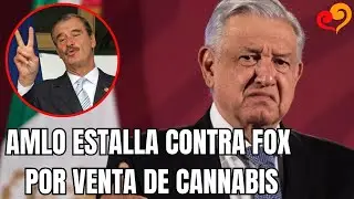 AMLO ARREMETE CONTRA FOX por venta de cannabis