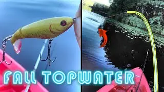 FALL TRANSITION Whopper Plopper Action (Bass Fishing in Massachusetts) #shorts