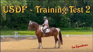 USDF - Dressage - Training Test 2 - Leo Equestrian