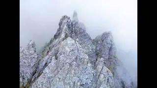 Zack Christ - Fox On Rocks