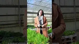 Come realizzare un giardino invernale resistente al freddo - #gardendesignideas