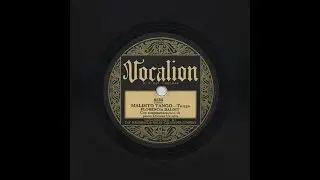Florencia Baldit - Maldito Tango - Vocalion 8288-