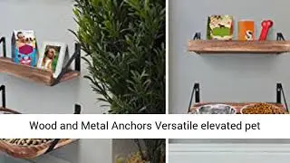Dog Bowls Customized Height Wall Mounted Elevated Pet Feeder