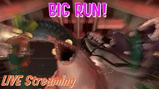LIVE STREAM - 🐟 BIG RUN! / Salmon Run