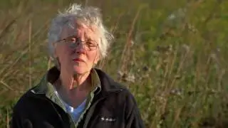 Mary Merkel-Hess: The Quiet Intensity of Shaping Reed, Paper, and Time