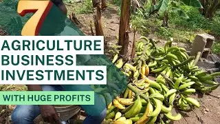 7 Agriculture Business investments that Guarantees High Returns