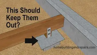 What Is A Foundation Termite Shield? - Preventing Subterranean Termite Framing Damage