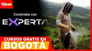 Secretar&iacute;a ofrece cursos gratis y certificados en 2026 | City Noticias Medio D&iacute;a