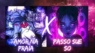 AMOR NA PRAIA X PASSO SUE SO (FUNK REMIX)
