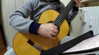 Coya soy - bailecito (Oscar Rosati) classical guitar