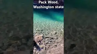 #washington state #live #explore #forest