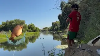 Lost A PB Carp 🤦&zwj;♂️ | Merced River Carp Fishing