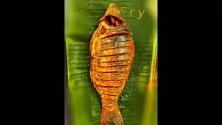 Fish Fry Recipe |Ponda bd