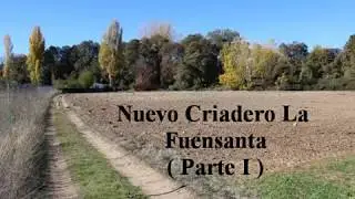 New Project La Fuensanta