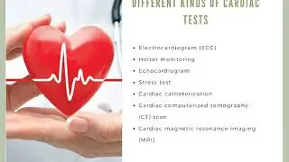 Everything About Cardiac Health and Testing