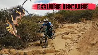 Equine Incline Update- Elfin Forest; Black Diamond Trail; Mountain Biking San Diego