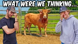 We Got A NEW Really ANGRY Bucking Bull!