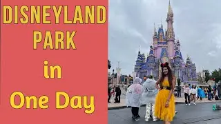 Disney World Florida in One day in Hindi | Christmas Parade in America | Swatanya Vlogs