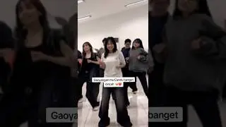 Cincha Dede aping pinter dance skrng #da7april #juara3 #dangdut #shortvideo #fypシ゚viral #beranda