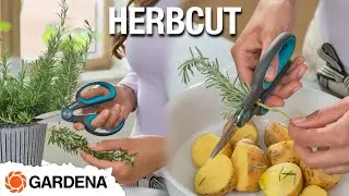 GARDENA HerbCut - Herb Scissors with Defoliating Function