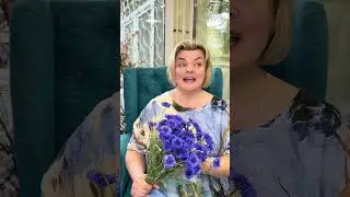 Рассказываем про васильки! 😇 @More_cvetov_sochi #youtube #flowers #цветы #florist #florist786