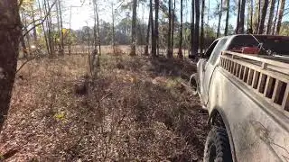 12/31/2025 1st drive Bowman, sc dogpen drive deer gets out. A couple get killed 