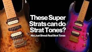 Super Strats That Can Do Strat Tones And Shred | SQOE SEIB 450, 550 & Strydom SS40 | Comparision
