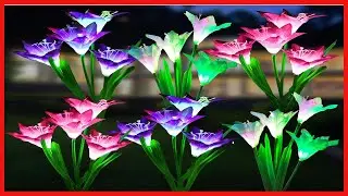 Great product -  Solar Lights Outdoor Garden Decorative Flowers 6 Pack, WdtPro Waterproof Solar Gard