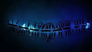 Drone Footage Captures Manta Rays Feeding at Night