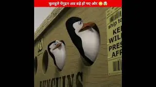 Golumolu penguin ab Bade Ho Gaye    Penguins Part 2     shorts  ytshorts720P HD