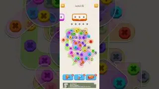 Screw Pin - Nuts Puzzle - level (68)
