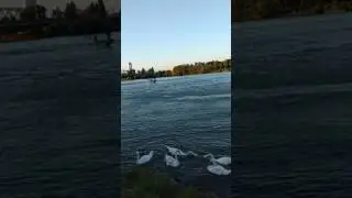 donau river.