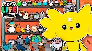 😍All BIRDS🐣in Toca Life World | Toca Boca Secret Hacks