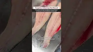 Fish filleting machine for pangasius