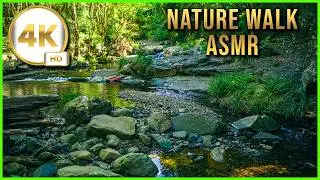 POV Hiking: I Found a MAGICAL Oasis 🌿 4K River ASMR | Love Creek Falls